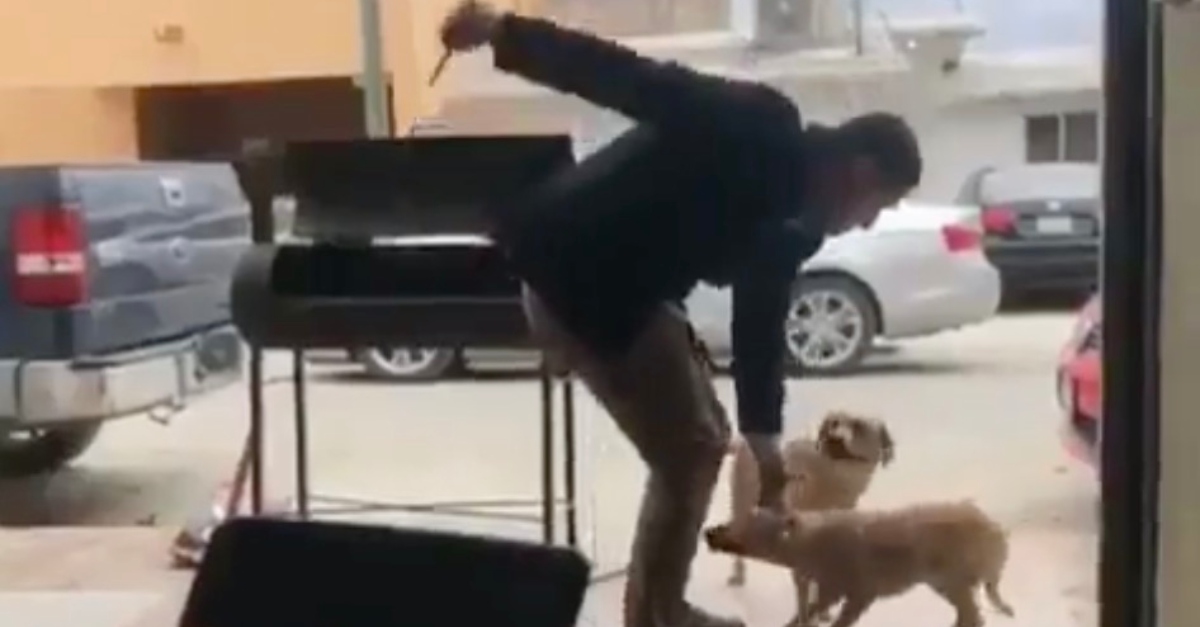 Überwachungskamera Er lockt den Hund zu sich, dann zückt er plötzlich