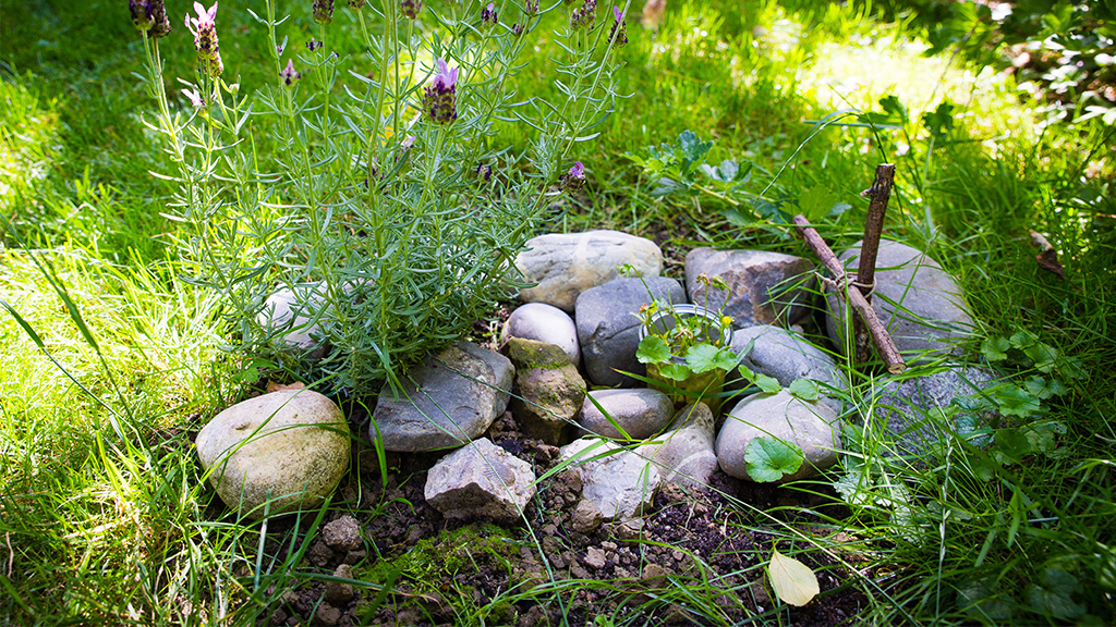 Im Garten begraben Was tun, wenn das Haustier verstirbt?