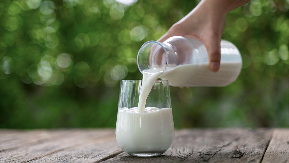 Mann trinkt drei Liter Milch pro Tag Die Folgen sind